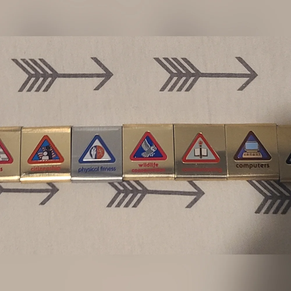 Boy Scout Wolf Cub Scout Blue Belt (24) Mixed Merit Activity Slides Metal Badges